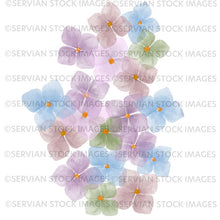 Load image into Gallery viewer, Hydrangea petals