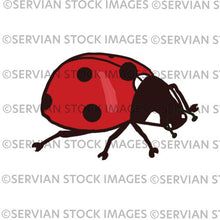 Load image into Gallery viewer, Ladybirds
