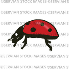 Load image into Gallery viewer, Ladybirds