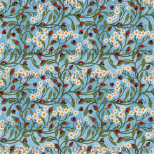 Load image into Gallery viewer, Ladybirds