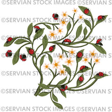 Load image into Gallery viewer, Ladybirds