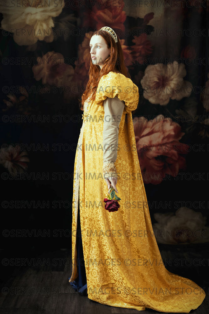 gold fantasy dress Renaissance / woman wearing a (Liv511) – Servian Stock Images gold two piece