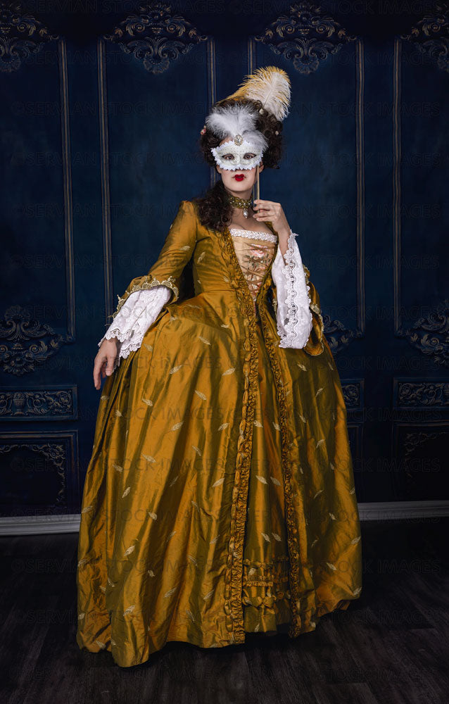 Georgian 18th century woman wearing a gold gown and holding a mask (em   Servian Stock Images