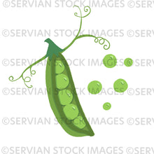 Load image into Gallery viewer, Vibrant Veges