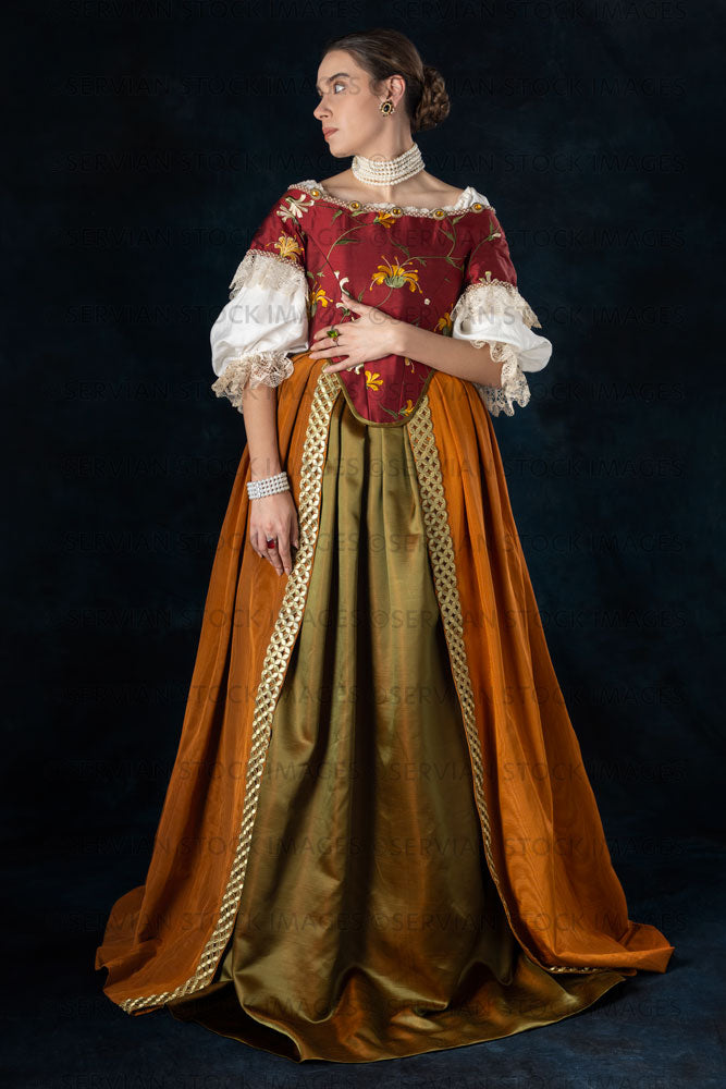 Renaissance or high fantasy woman wearing a red embroidered bodice (Sa Servian Stock Images Renaissance or high fantasy woman wearing a red embroidered bodice (Sa Servian Stock Images