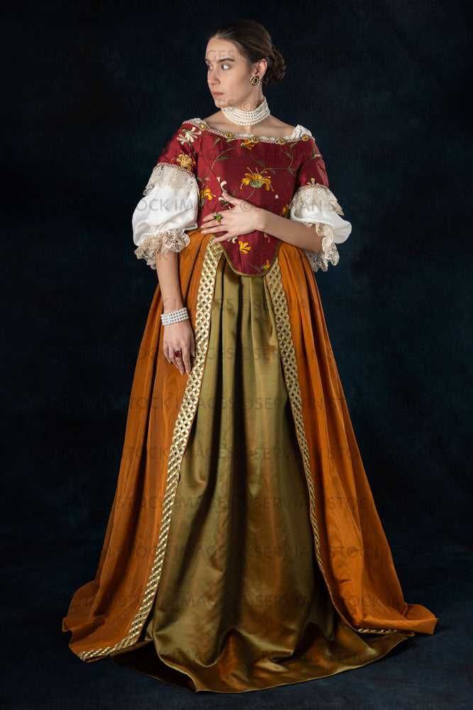 Renaissance or high fantasy woman wearing a red embroidered bodice (Sa   Servian Stock Images
