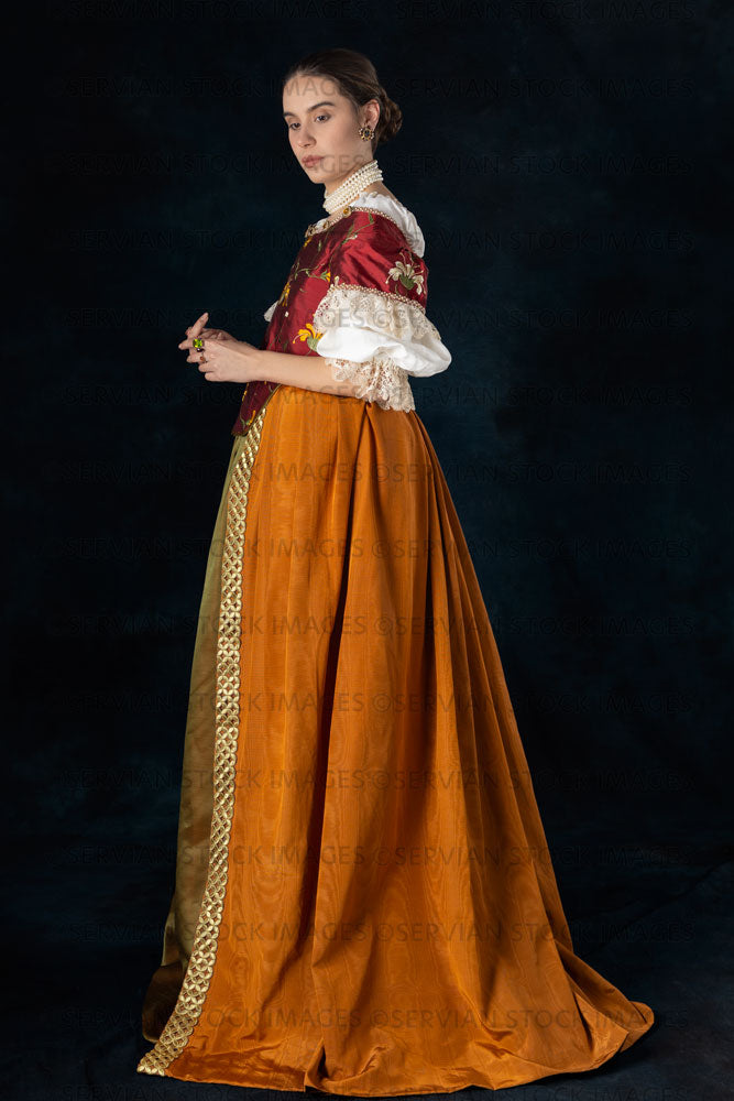 Renaissance or high fantasy woman wearing a red embroidered bodice (Sa –  Servian Stock Images