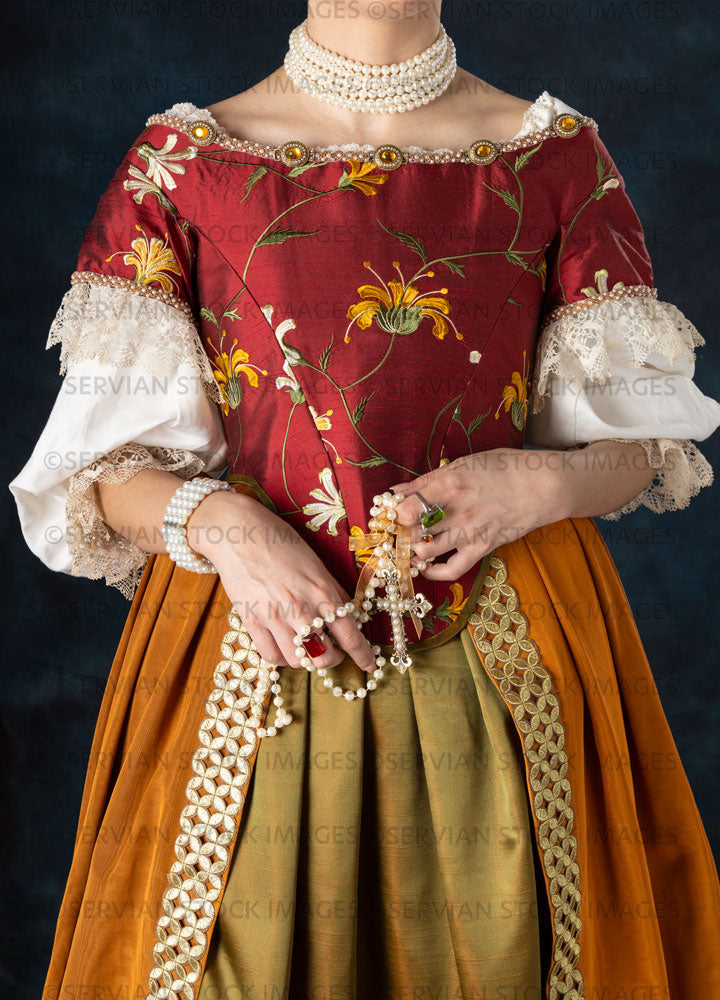 Renaissance or high fantasy woman wearing a red embroidered bodice (Sa Servian Stock Images Renaissance or high fantasy woman wearing a red embroidered bodice (Sa Servian Stock Images