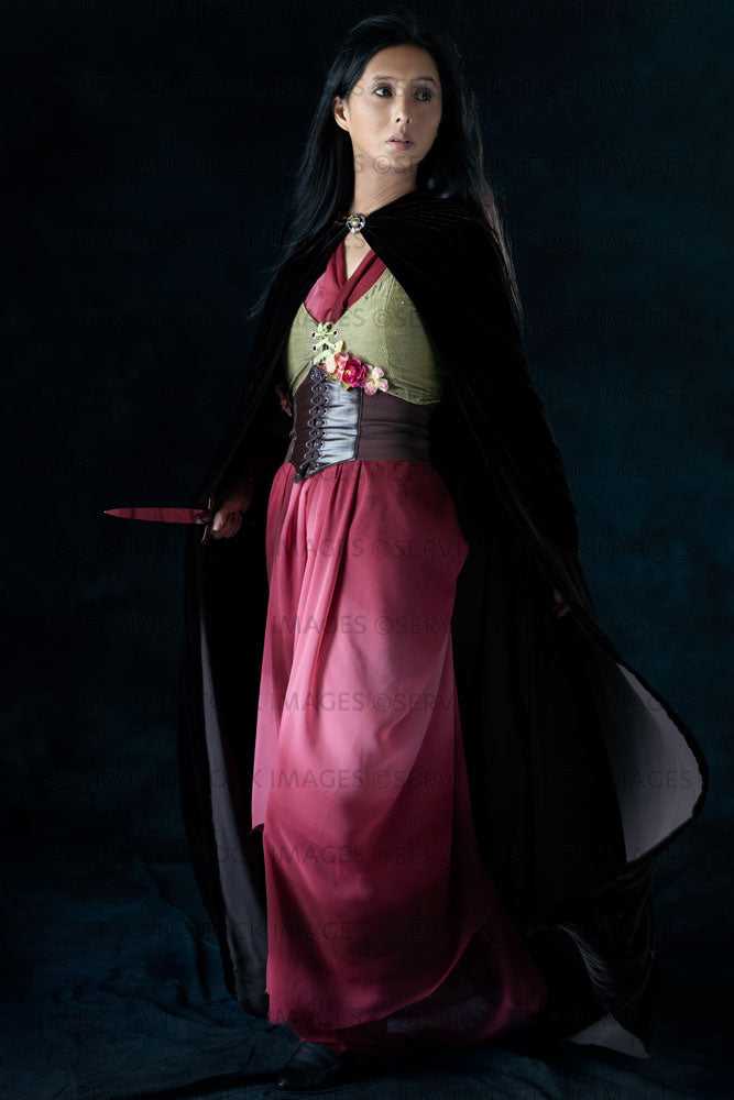 Elven warrior woman wearing laced bodice and draped skirt  (Koreen 0395)