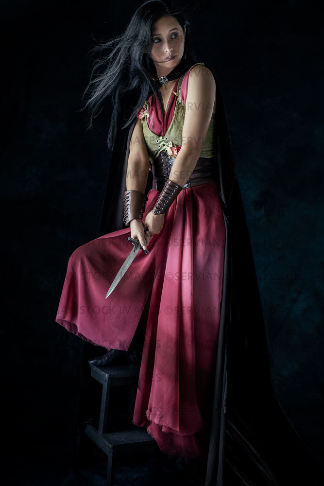 Elven warrior woman wearing laced bodice and draped skirt  (Koreen 0410)
