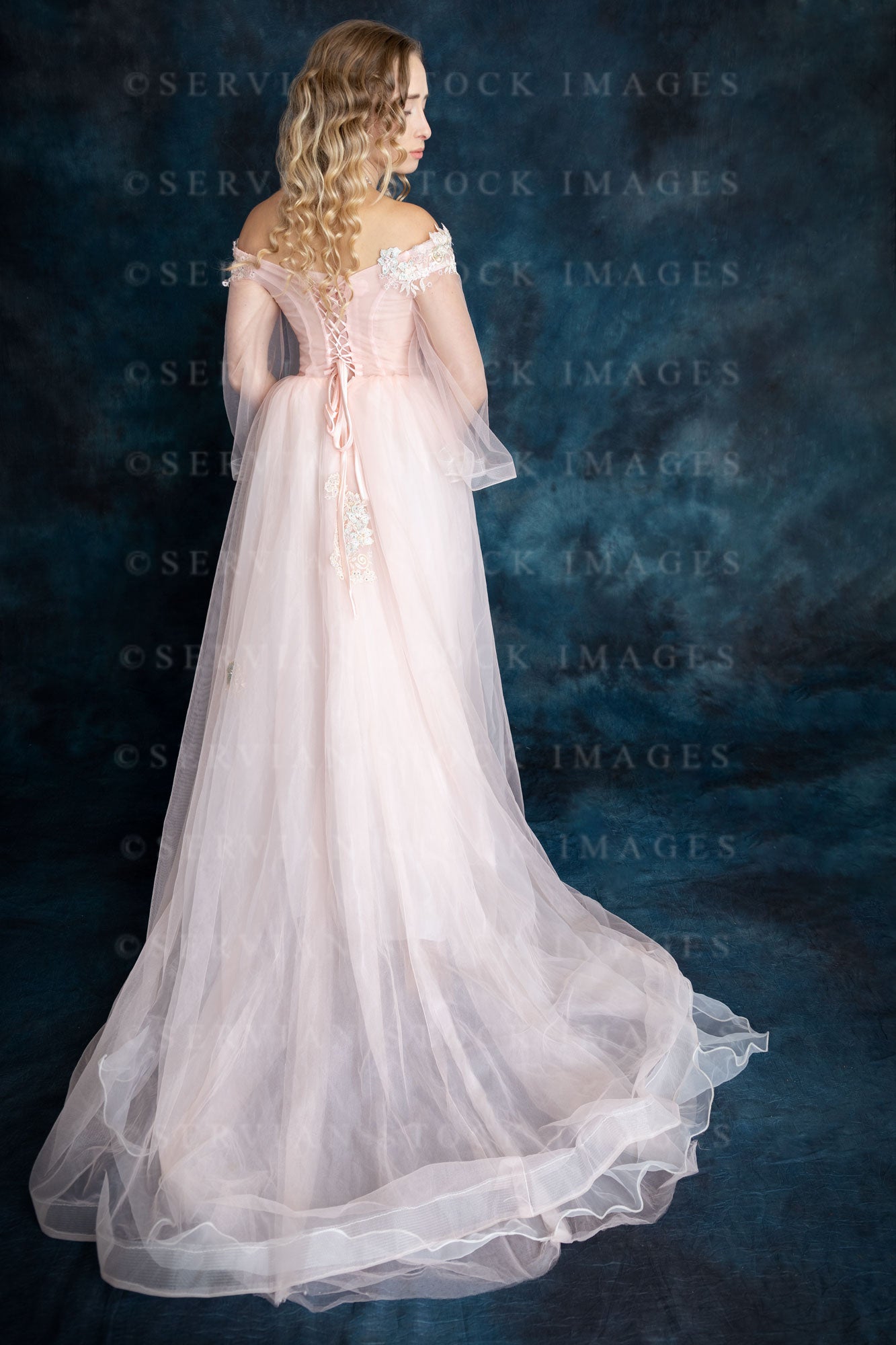 High fantasy fairy princess in a pink dress (Kat 2855) Servian Stock Images High fantasy fairy princess in a pink dress (Kat 2855) Servian Stock Images
