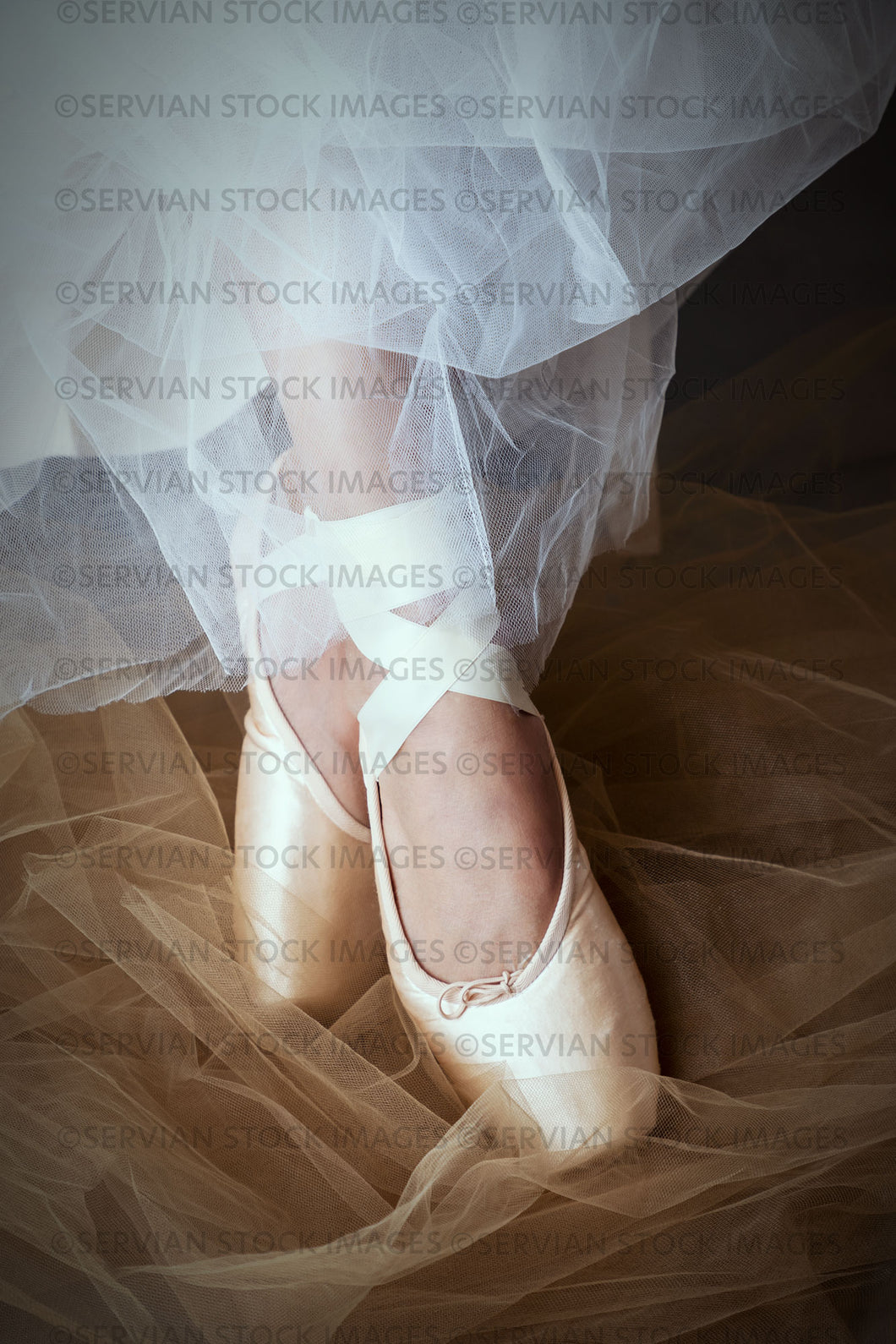 Contemporary woman wearing a tulle evening dress and ballet shoes  (Koreen 4745)