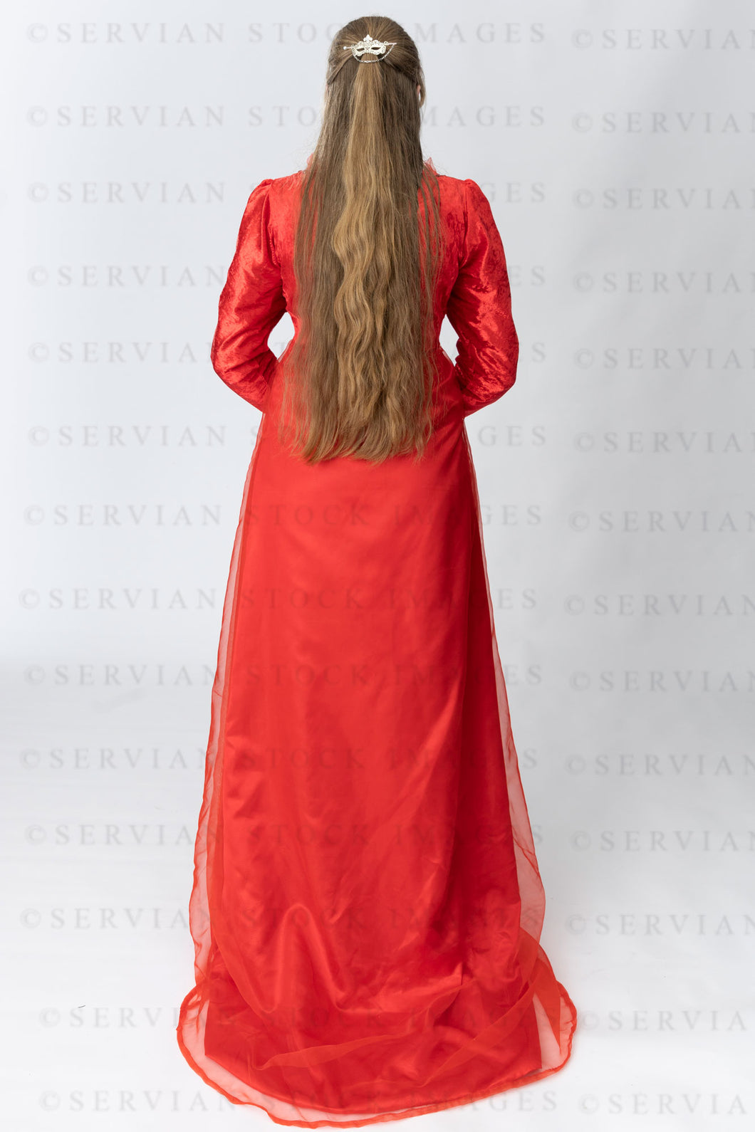 Medieval or High fantasy woman with long hair shown from back view (Katherine5054)