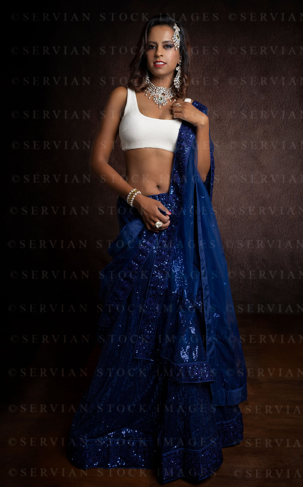 Woman wearing a blue sari  (Shelaila 9785)