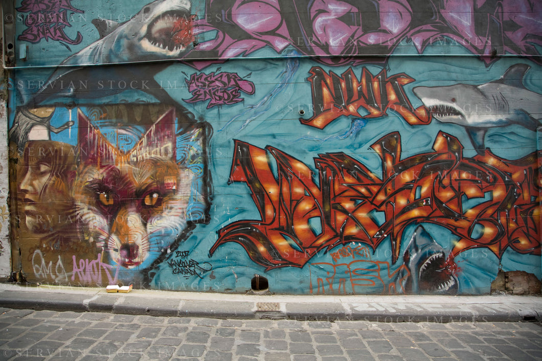 Urban background of an alleyway with graffiti (Nick 9334)