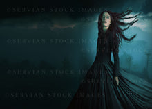 Load image into Gallery viewer, Ready-made cover image - Edge of Shadows