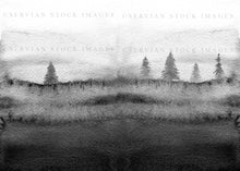 Load image into Gallery viewer, Ready-made cover image - Misty Forest