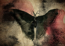 Load image into Gallery viewer, Ready-made cover image - Dream Shadow