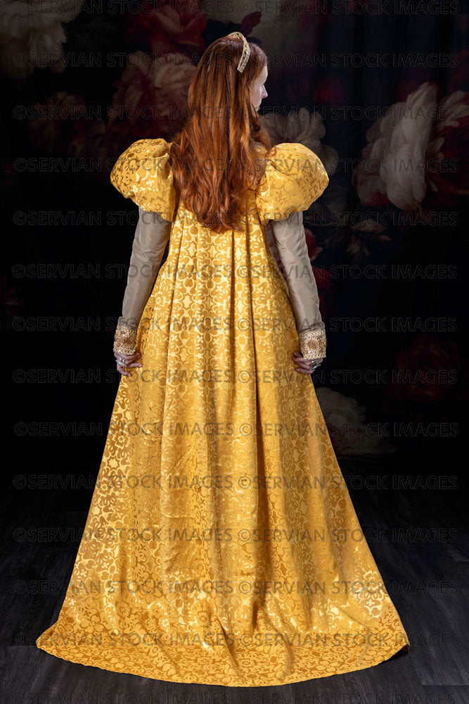 Renaissance / Fantasy woman wearing a gold dress (Liv838)