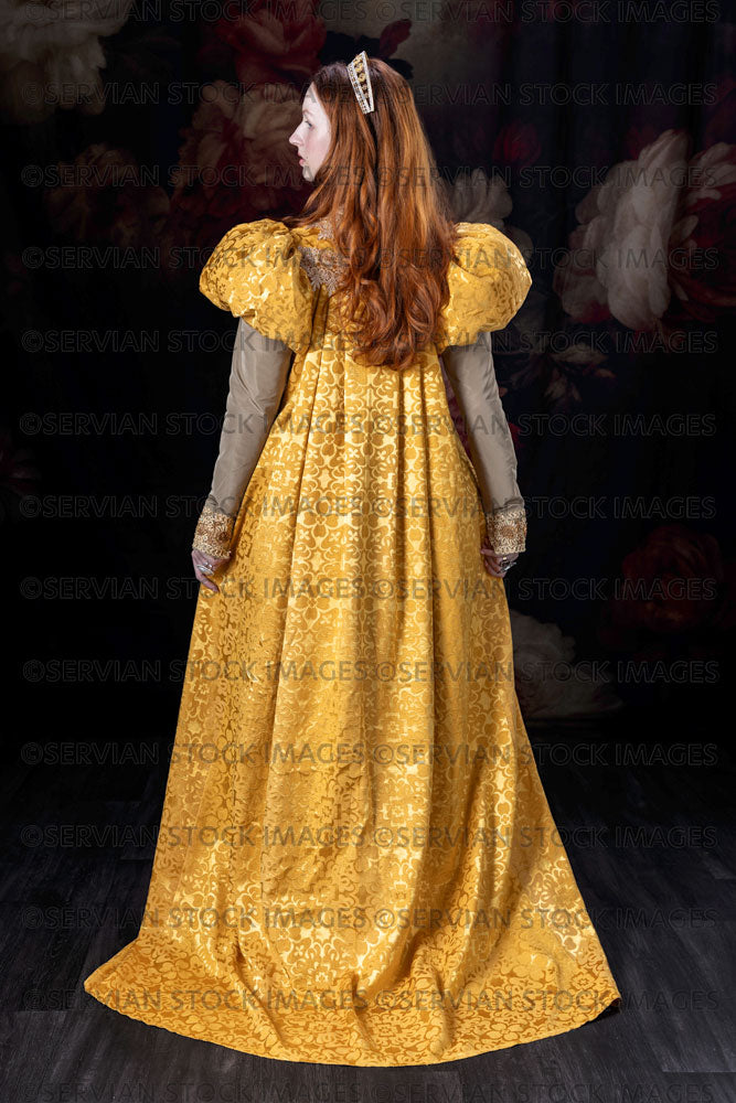 Renaissance / Fantasy woman wearing a gold dress (Liv839)