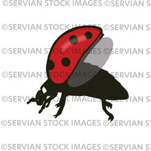 Load image into Gallery viewer, Ladybirds
