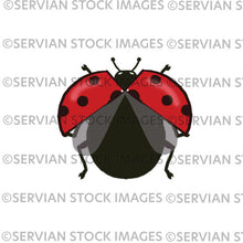 Load image into Gallery viewer, Ladybirds

