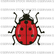 Load image into Gallery viewer, Ladybirds
