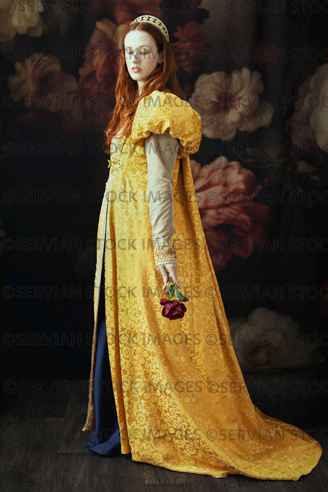 Renaissance / Fantasy woman wearing a gold dress (Liv509)