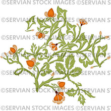 Load image into Gallery viewer, Vintage Floral 1
