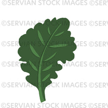 Load image into Gallery viewer, Vibrant Veges
