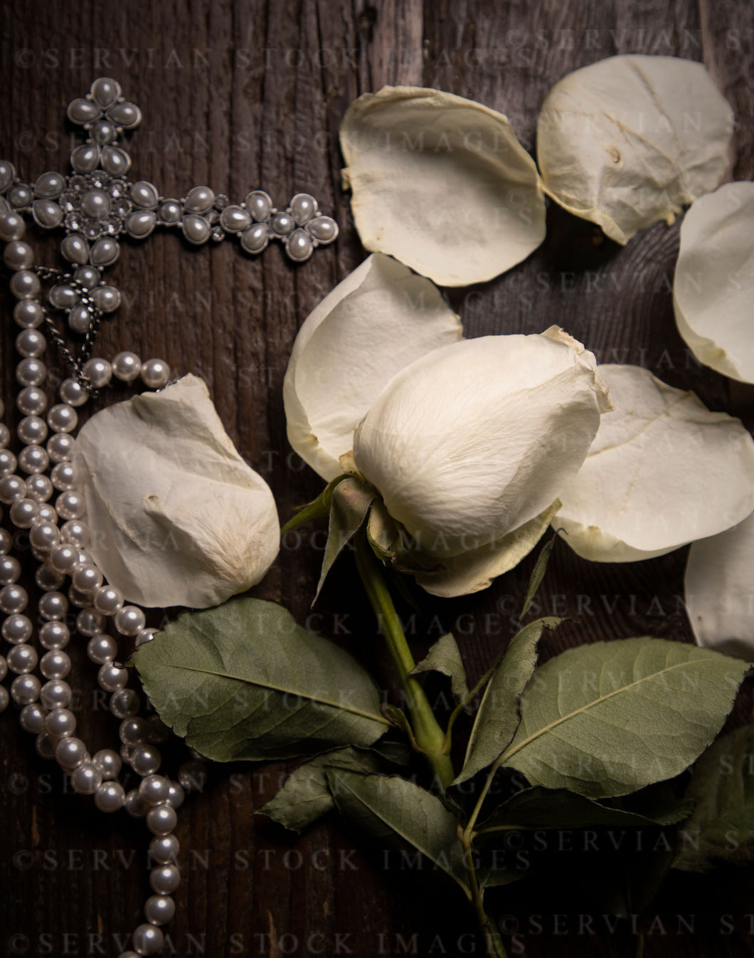 Still life - Faded rose and crucifix (KS1065)