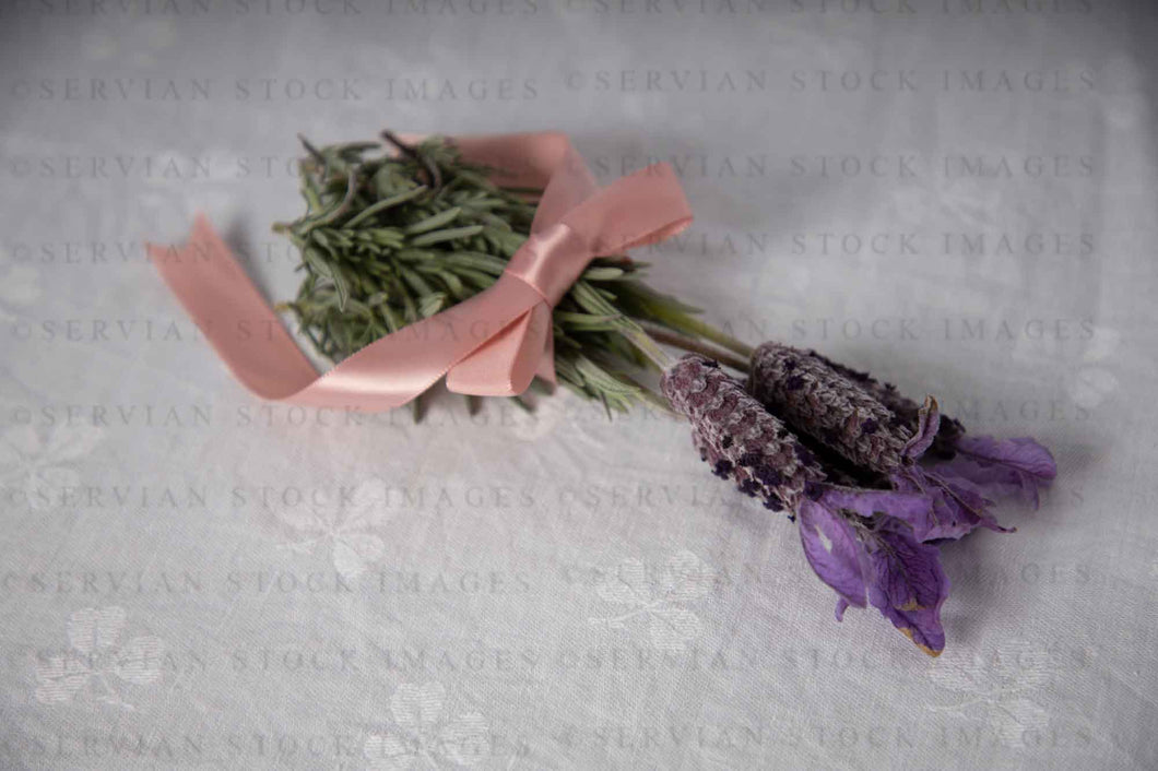 Still life - Lavender (KS 2452)