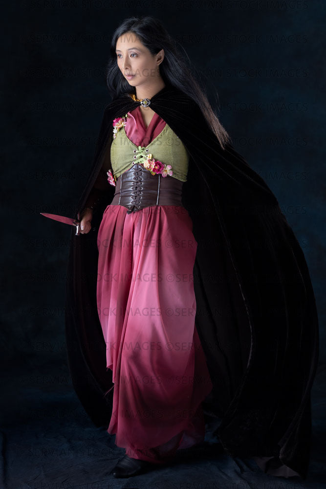 Elven warrior woman wearing laced bodice and draped skirt  (Koreen 0383)