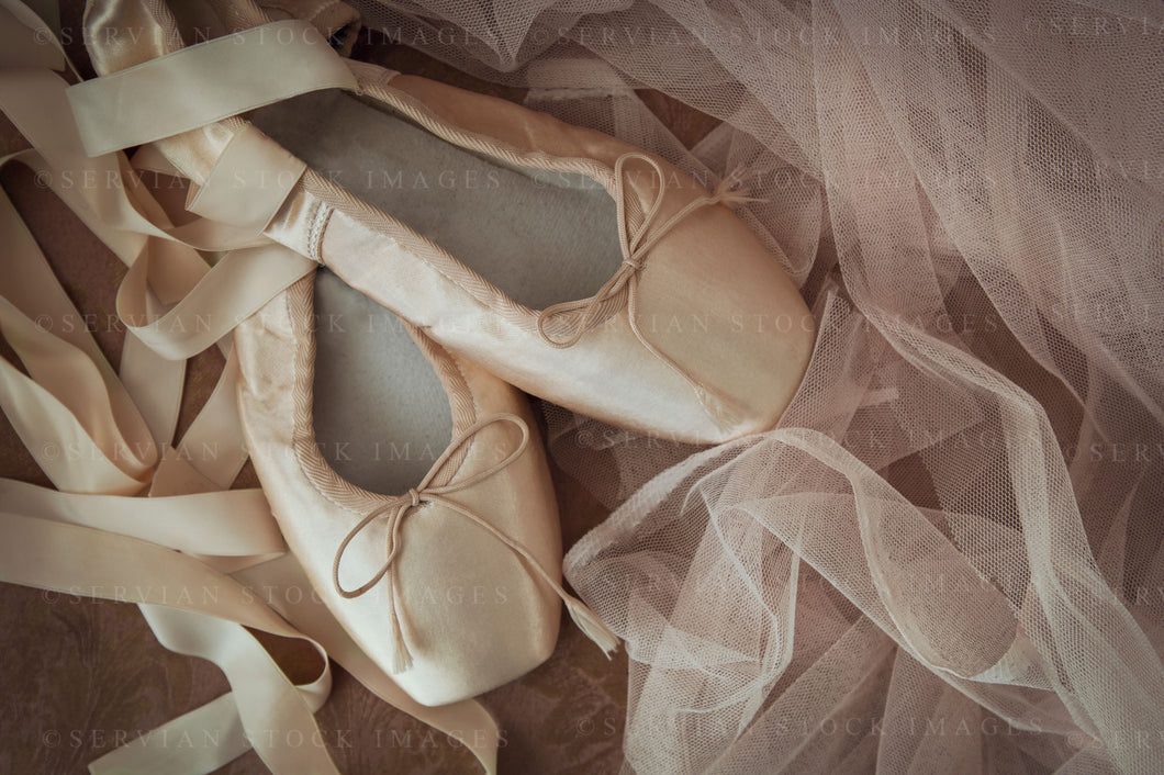 Still life - Ballet shoes 1 (KS1288)