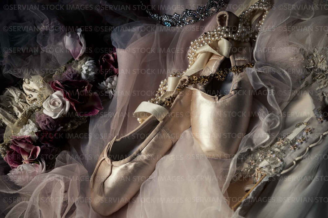 Still life -   Ballet shoes with other vintage items (KS1513 )