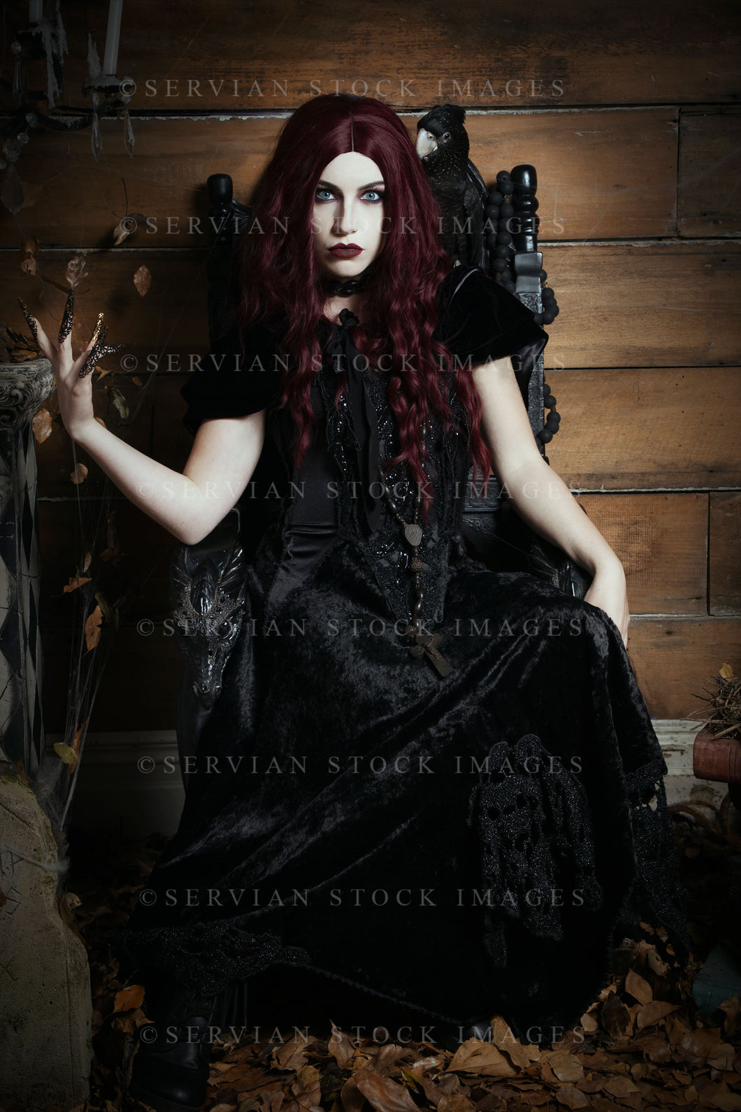 High Fantasy witch sitting on a black, gothic throne with a black bird on her shoulder (Victoria 2562)