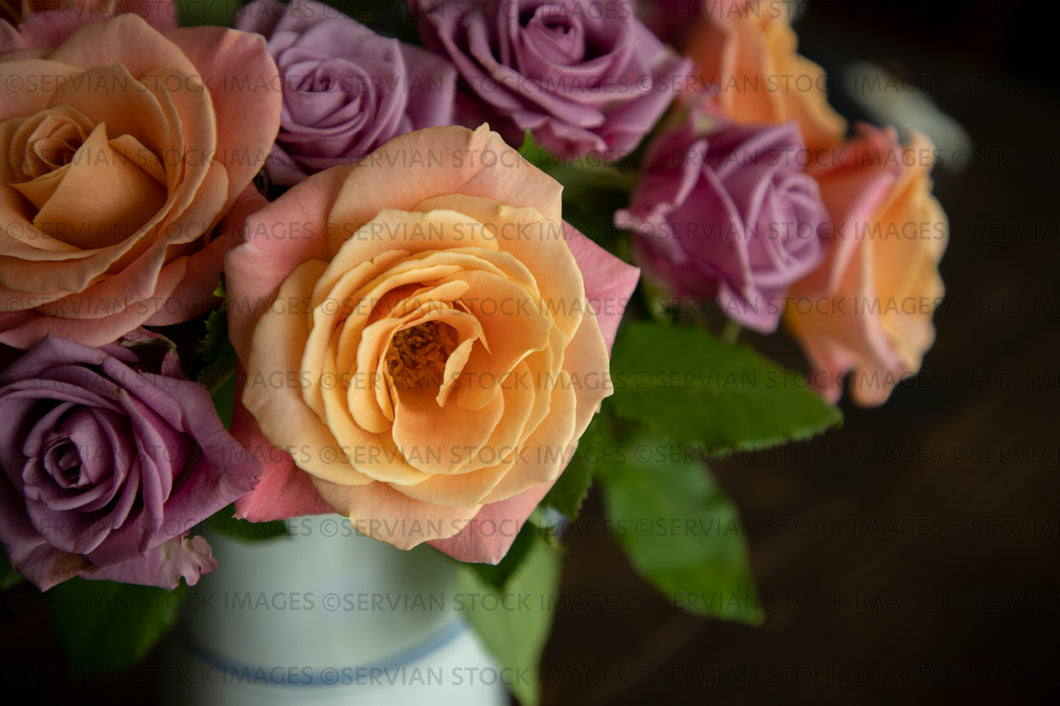 Still life -   Roses in a vintage jug (KS 4024)