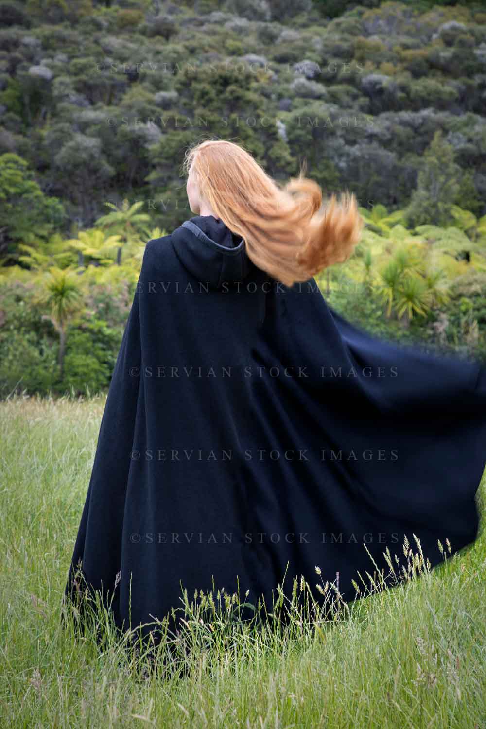 Renaissance woman in a black cloak (Lauren 7430)