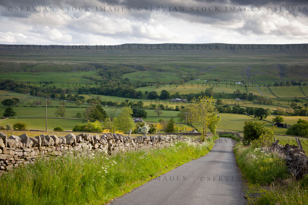 Landscape country lane and dry stone wall (Nick 0700)